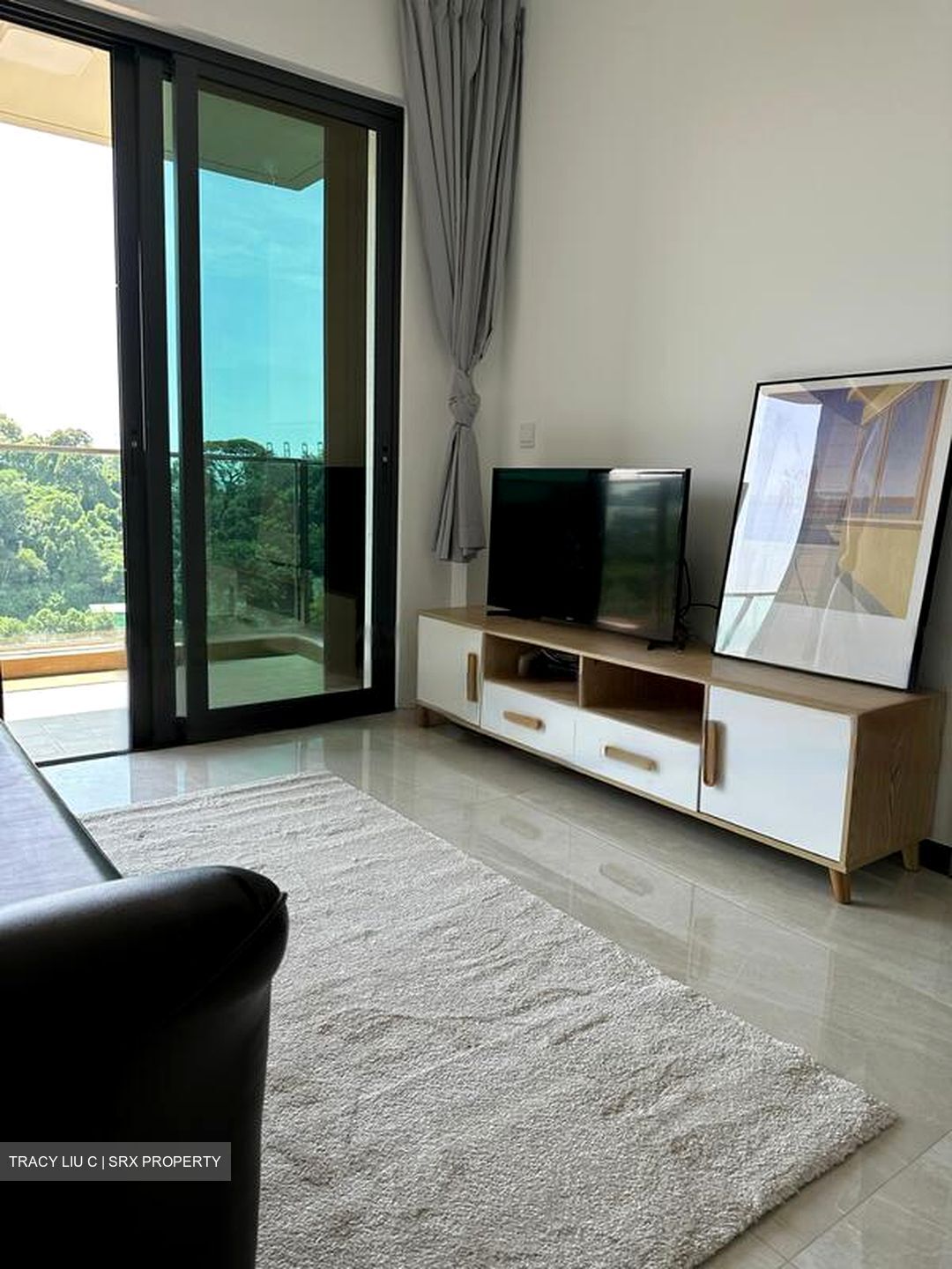 Normanton Park (D5), Apartment #481741511